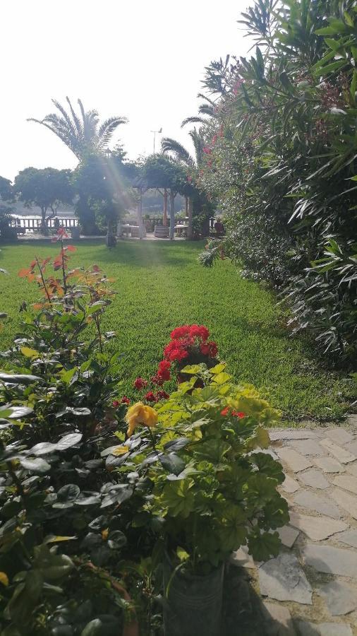 Dionisis Apartments Kounopetra Dış mekan fotoğraf