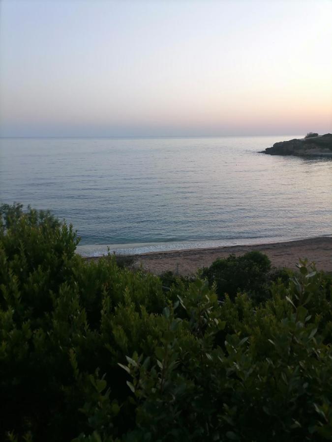 Dionisis Apartments Kounopetra Dış mekan fotoğraf