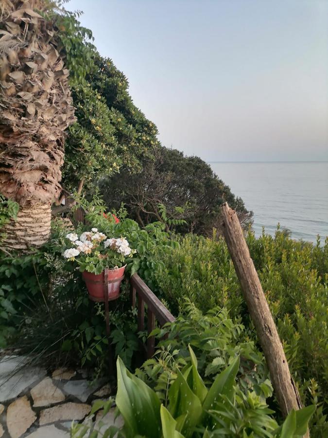 Dionisis Apartments Kounopetra Dış mekan fotoğraf