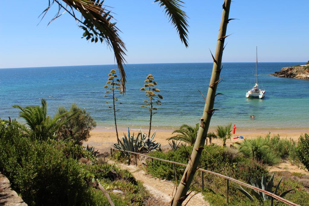 Dionisis Apartments Kounopetra Dış mekan fotoğraf