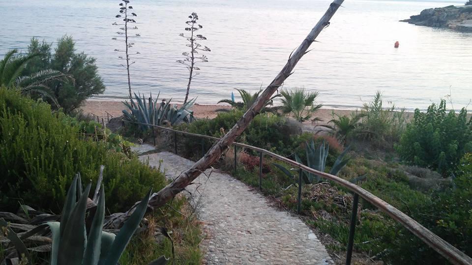 Dionisis Apartments Kounopetra Dış mekan fotoğraf