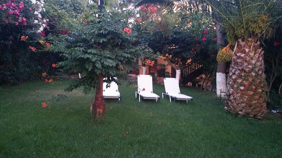 Dionisis Apartments Kounopetra Dış mekan fotoğraf