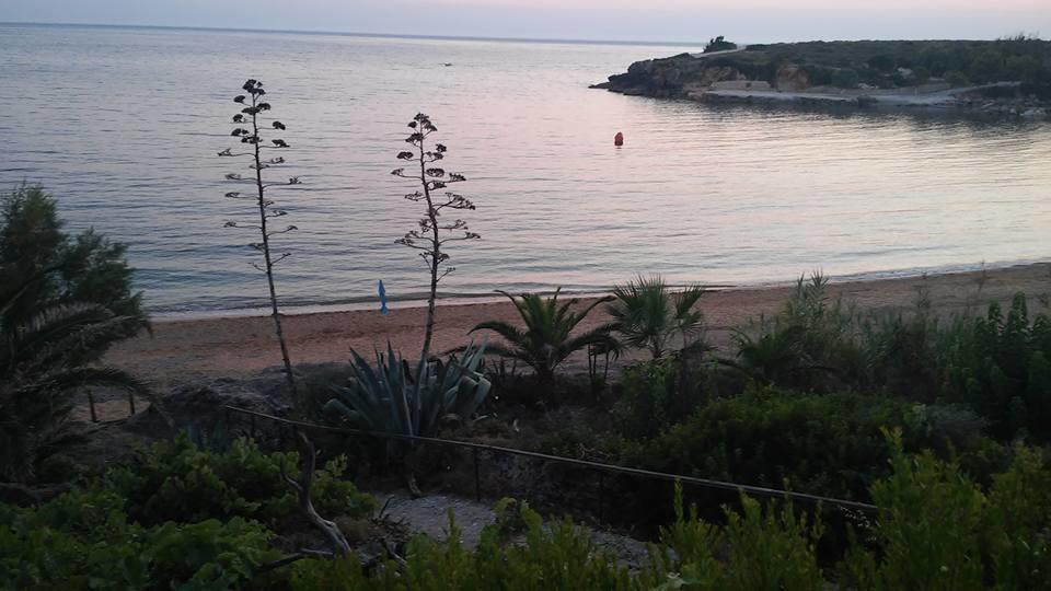 Dionisis Apartments Kounopetra Dış mekan fotoğraf
