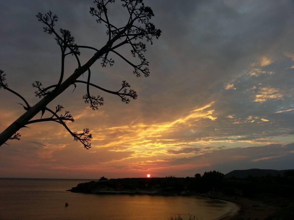 Dionisis Apartments Kounopetra Dış mekan fotoğraf