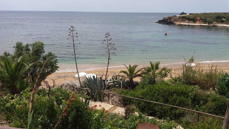 Dionisis Apartments Kounopetra Dış mekan fotoğraf