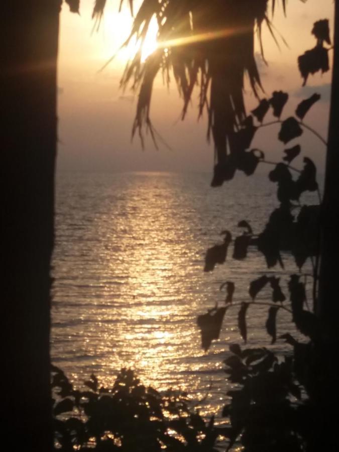 Dionisis Apartments Kounopetra Dış mekan fotoğraf